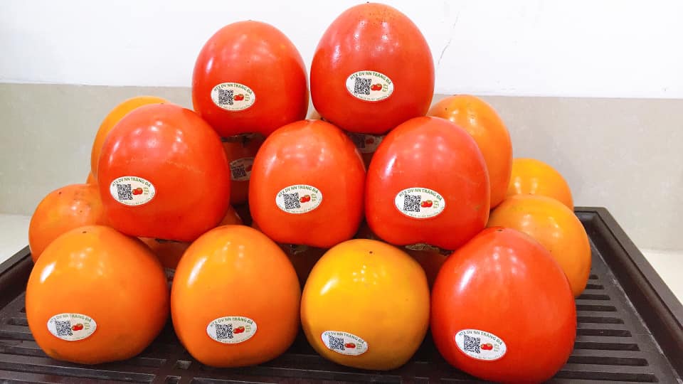 Hồng mọng Tràng Đà